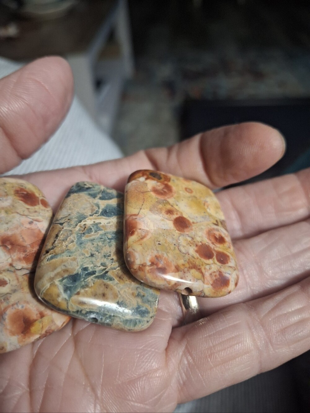 Polished Jasper Cabochon Trio - Earthy Red, Tan & Gray - Picture 3 of 5